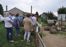 Powiększ zdjęcie Zwiedzanie Ranczowiska